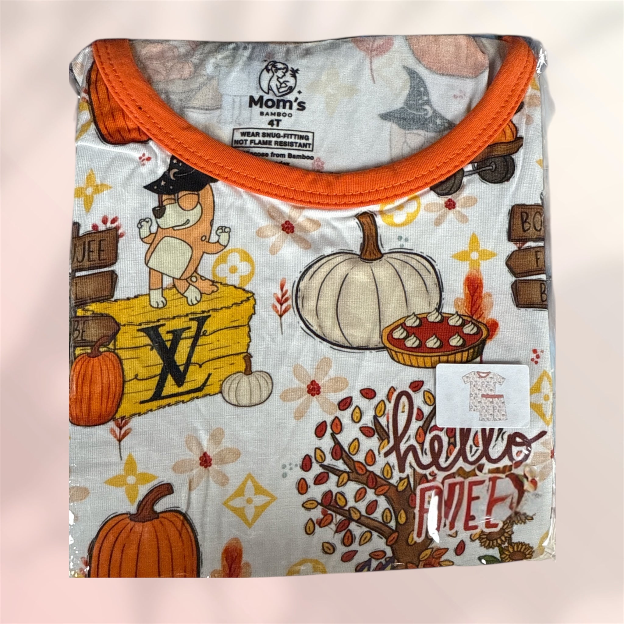 "Bluey Boogie Fall" Short Set