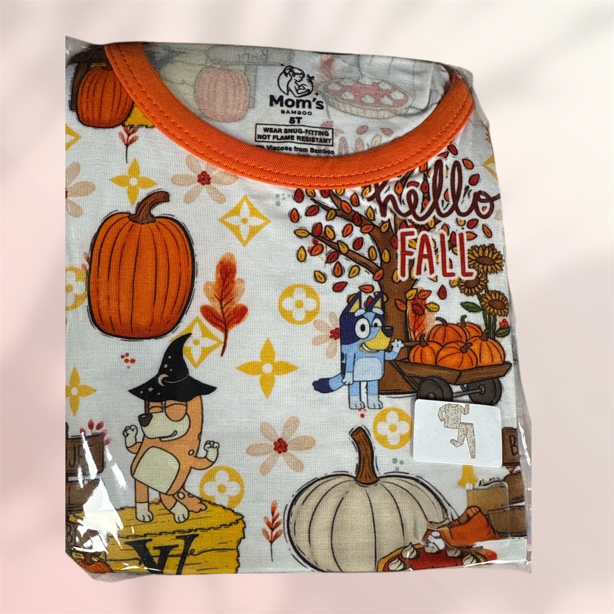 "Bluey Boogie Fall" Long Set